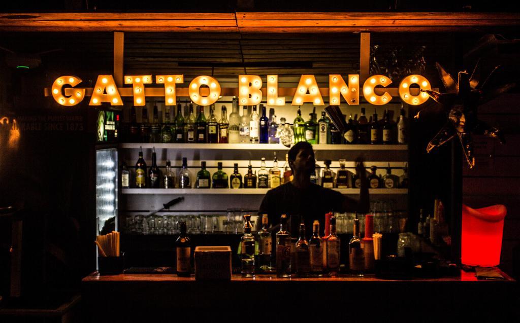 פנמה סיטי Gatto Blanco Party Hotel מראה חיצוני תמונה